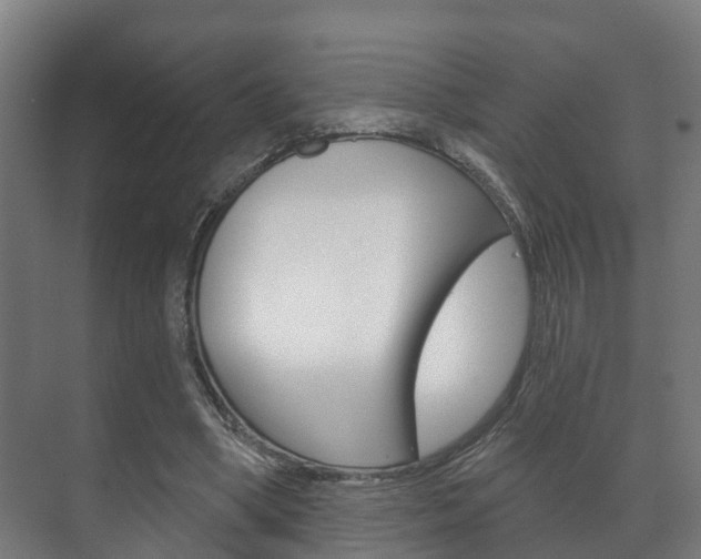 X0000072540394200607141041