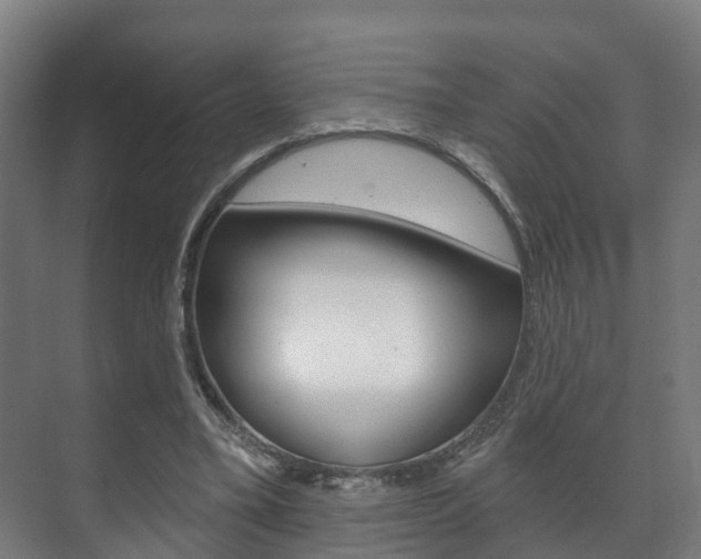 X0000072540395200607141041