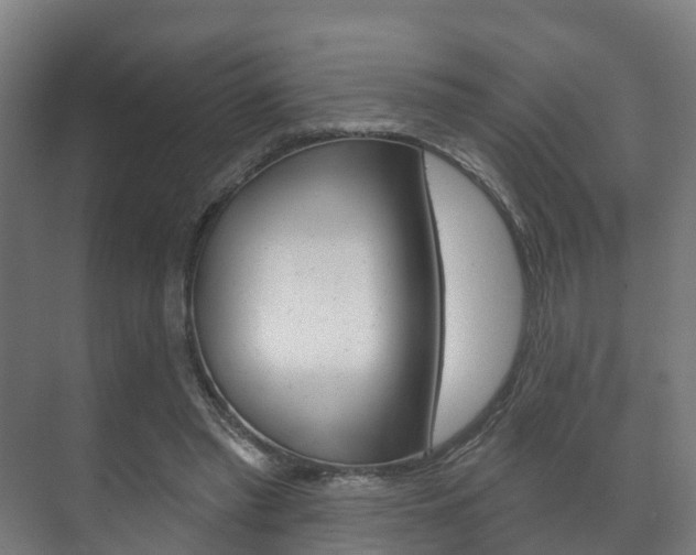 X0000072540397200607141041