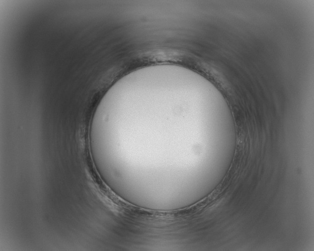 X0000072540402200607141041