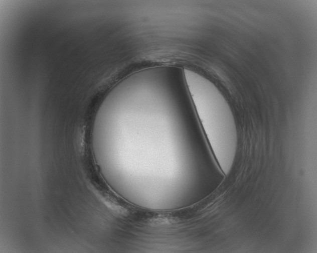 X0000072540404200607141041