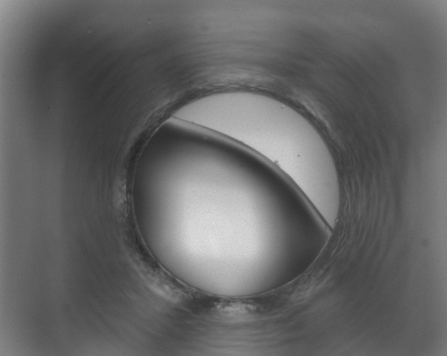 X0000072540407200607141041