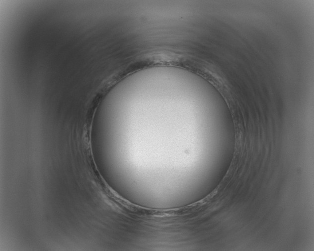 X0000072540411200607141041