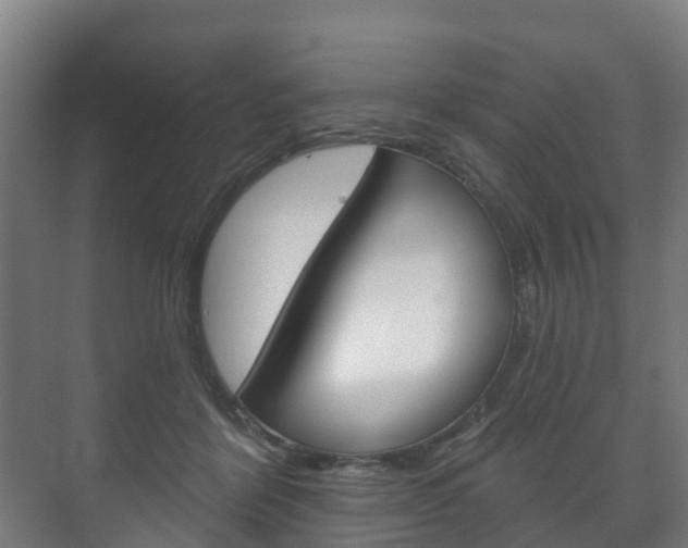 X0000072540412200607141041
