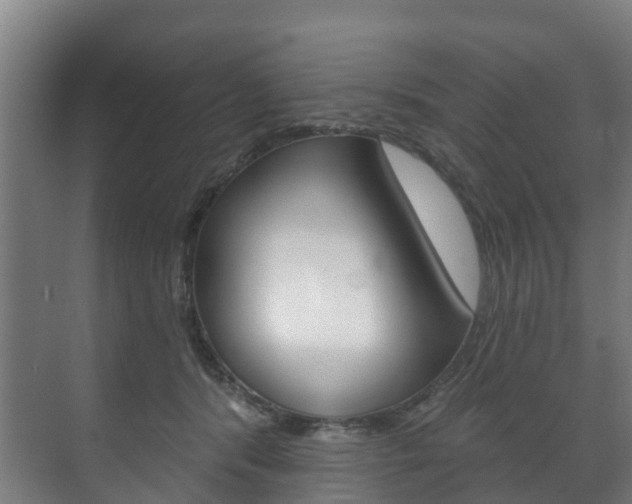 X0000072540416200607141041
