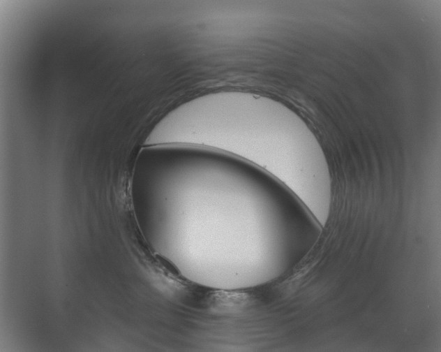 X0000072540429200607141041