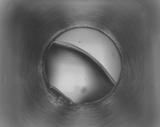 X0000072540434200607141040