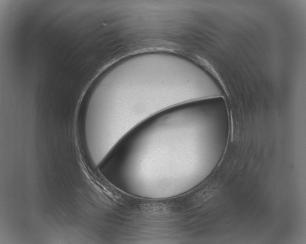 X0000072540435200607141040