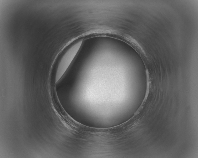 X0000072540436200607141040