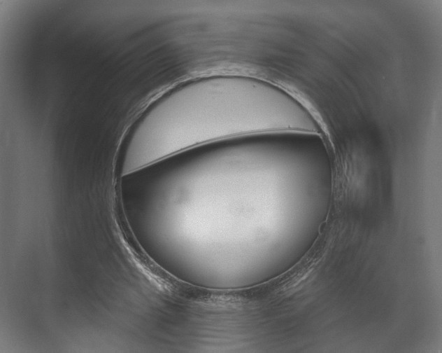 X0000072540437200607141040