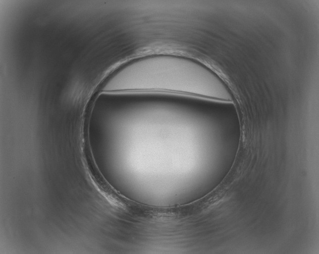X0000072540438200607141040