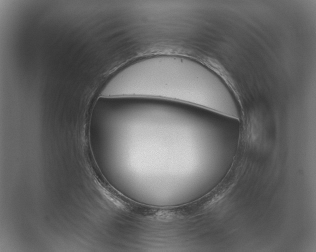 X0000072540441200607141040