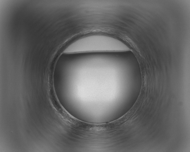 X0000072540444200607141040