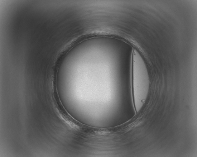 X0000072540446200607141040