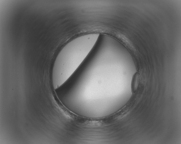 X0000072540449200607141040