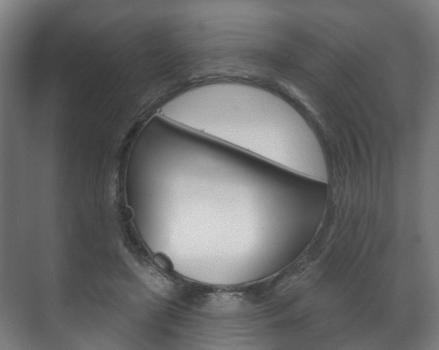 X0000072540451200607141040