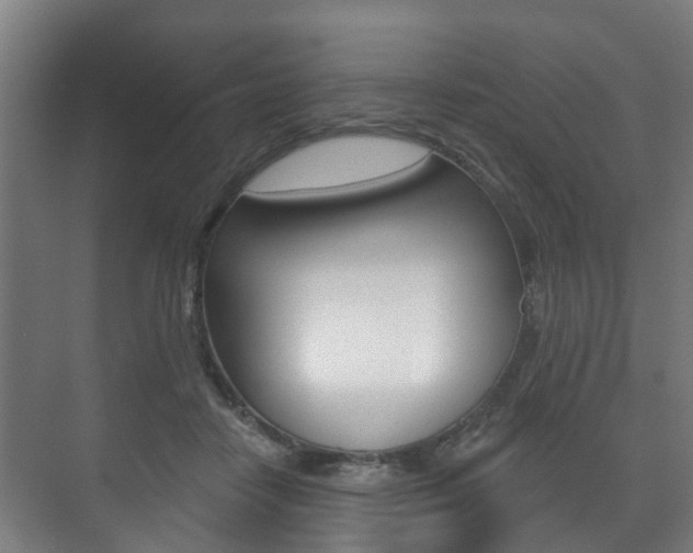 X0000072540458200607141040