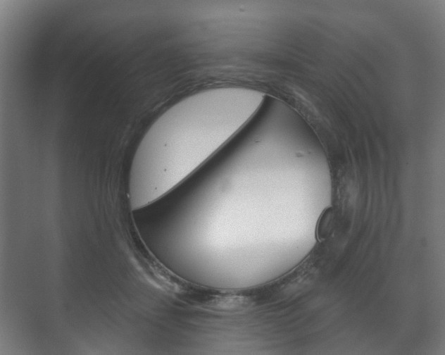 X0000072540459200607141040