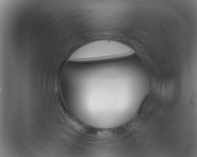 X0000072540470200607141041