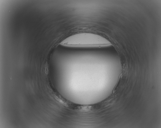 X0000072540474200607141041