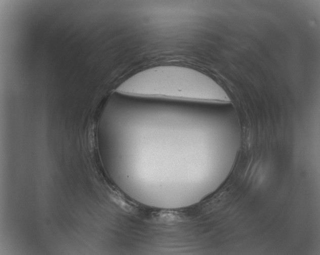 X0000072540475200607141041