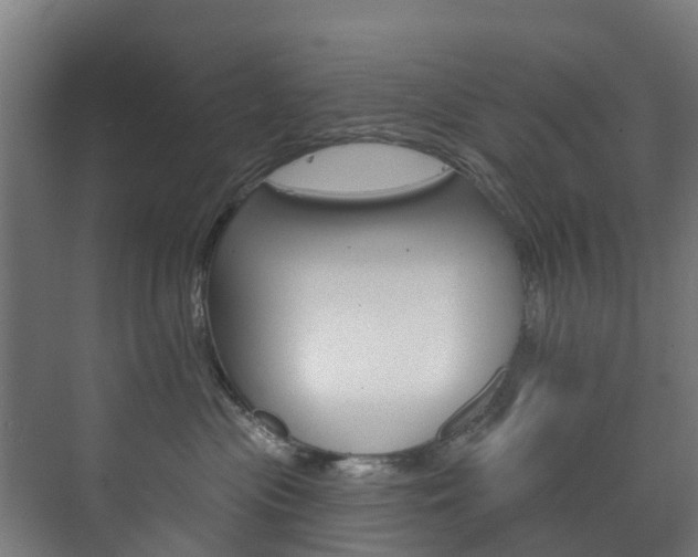 X0000072540477200607141041