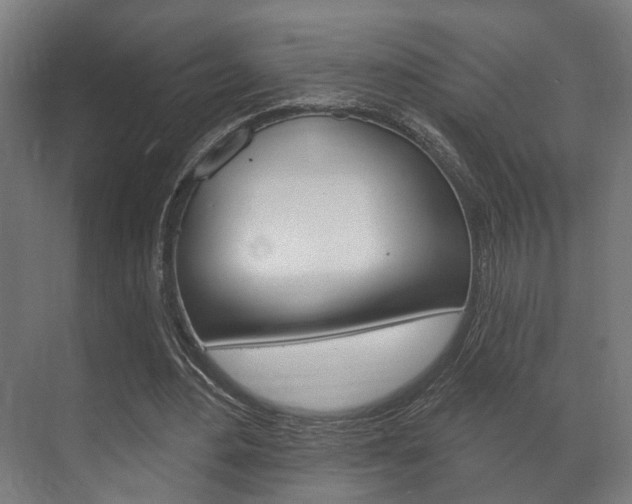 X0000072540484200607141040