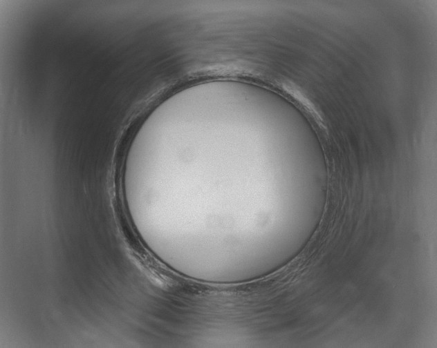 X0000072540486200607141040