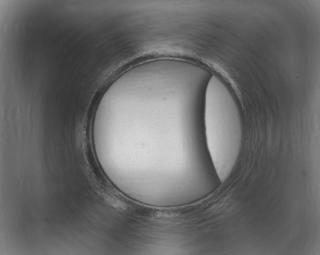 X0000072540487200607141040