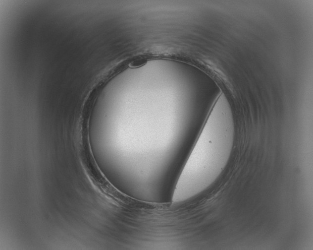 X0000072540492200607141040
