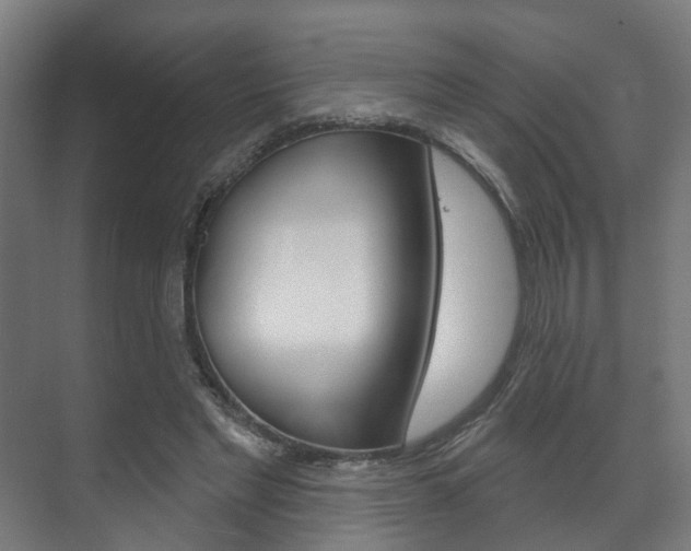 X0000072540493200607141040