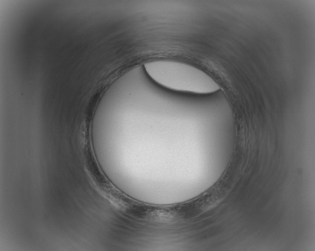 X0000072540498200607141040