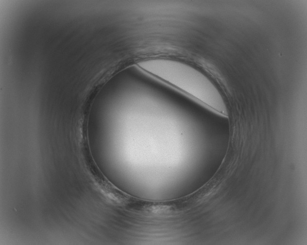 X0000072540501200607141040
