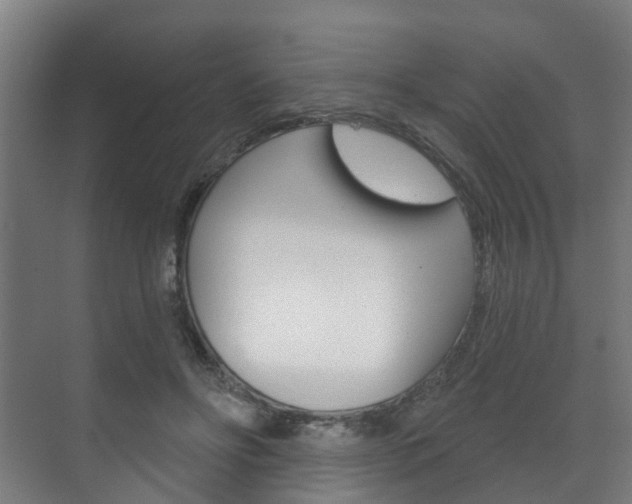 X0000072540502200607141040
