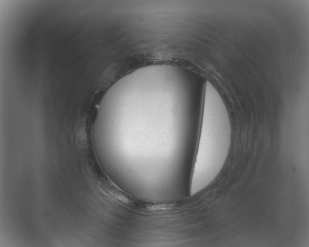 X0000072540516200607141039