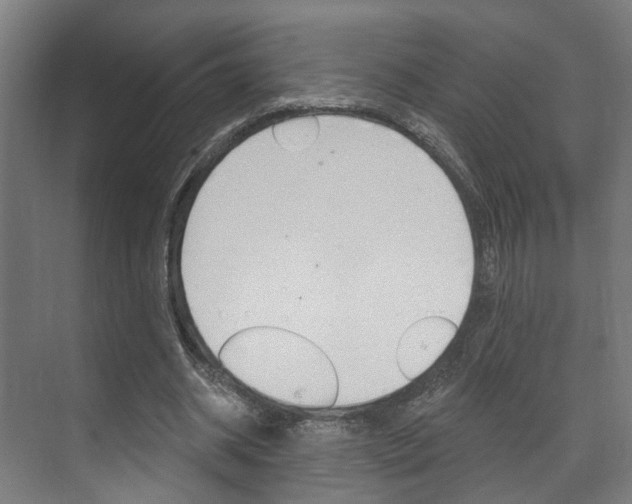 X0000072540534200607141038
