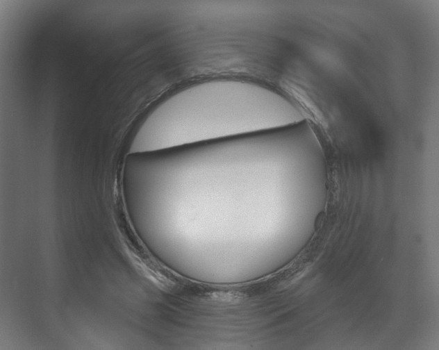 X0000072540541200607141039