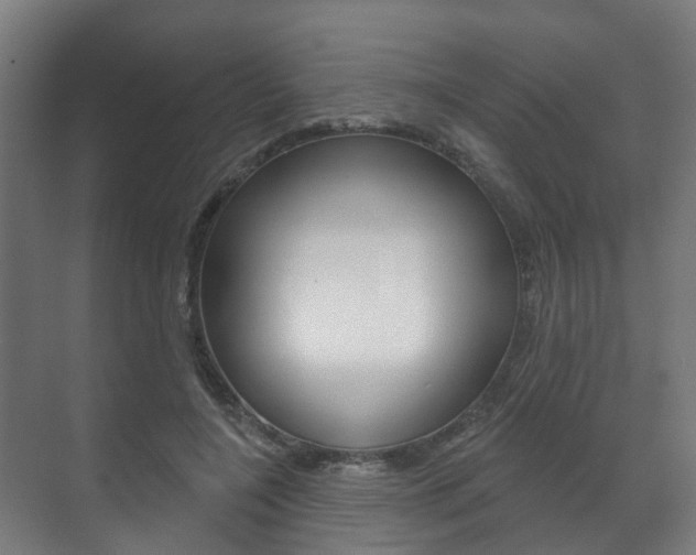 X0000072540548200607141039