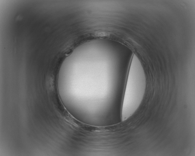 X0000072540556200607141039