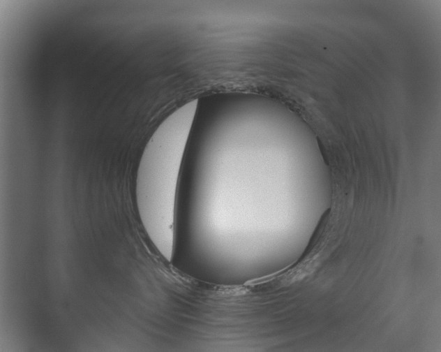 X0000072540576200607141039