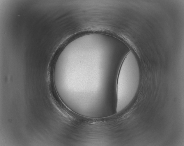 X0000072540584200607141038