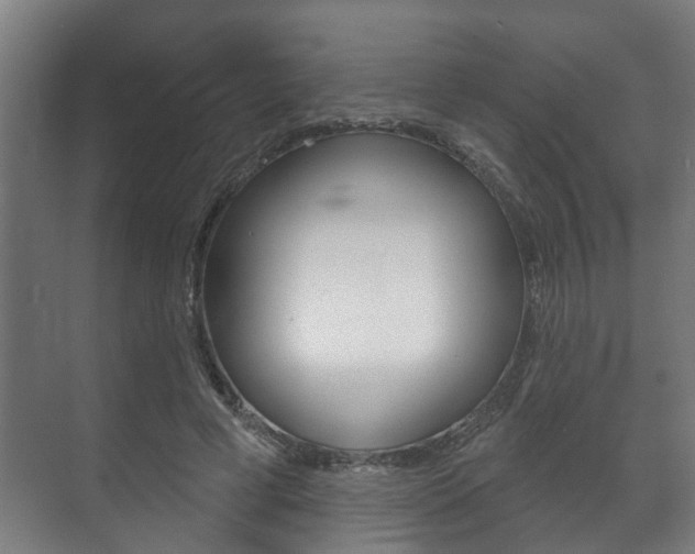X0000072540593200607141038