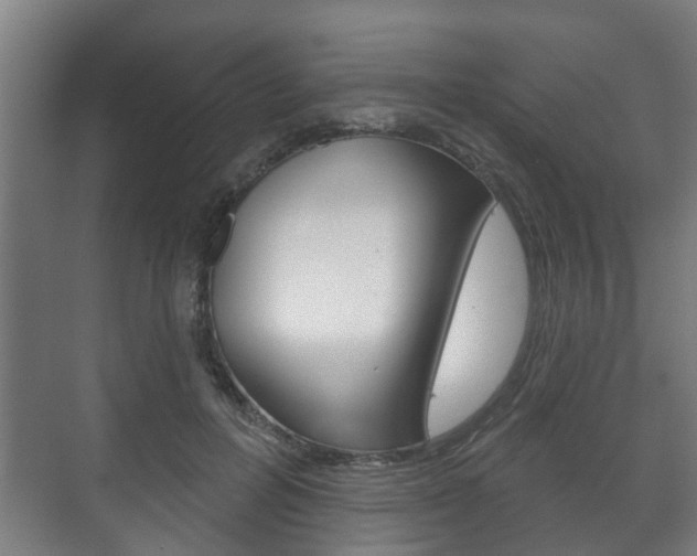 X0000072540600200607141038
