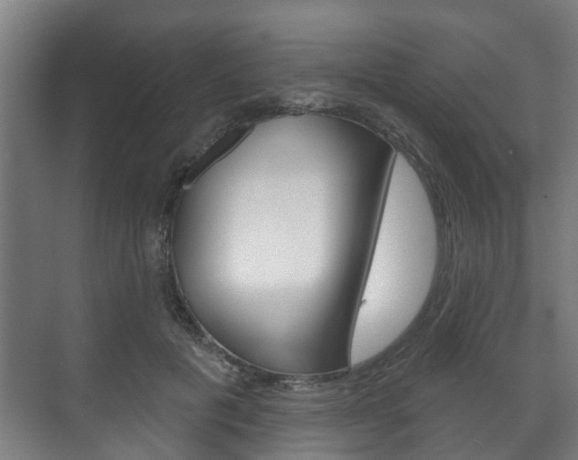 X0000072540601200607141038