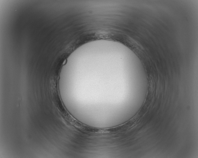 X0000072540603200607141038