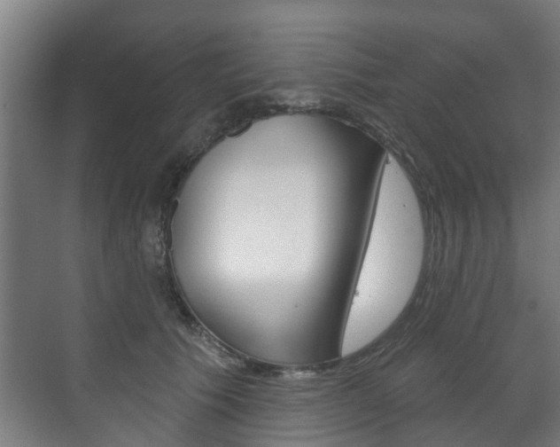 X0000072540609200607141038