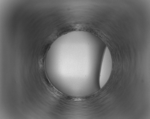 X0000072540611200607141038