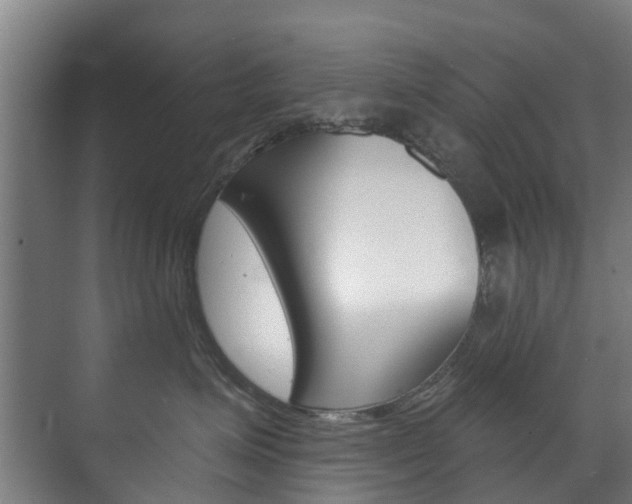 X0000072540623200607141038
