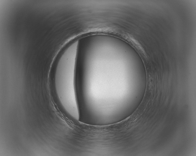 X0000072540628200607141037