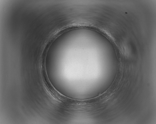 X0000072540631200607141037